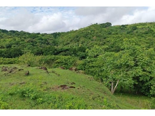 Arsa Ancón, Distrito de Panamá