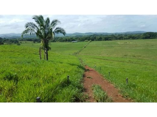 Santiago de Veraguas, Distrito de Santiagoのカントリー風またはファームハウス