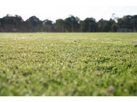 토지 / 파나마 시, Distrito de Panamá