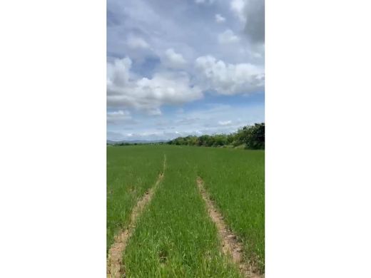 أرض ﻓﻲ Antón, Distrito de Antón