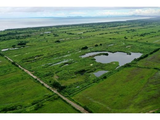 Ferme à Panamá, Distrito de Panamá