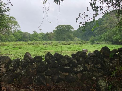 Cortijo o casa de campo en Dolega District, Distrito de Dolega