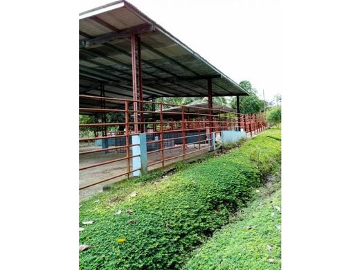 Ferme à Boquerón, Provincia de Colón