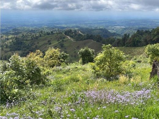 Boquerón, Provincia de Colónのカントリー風またはファームハウス