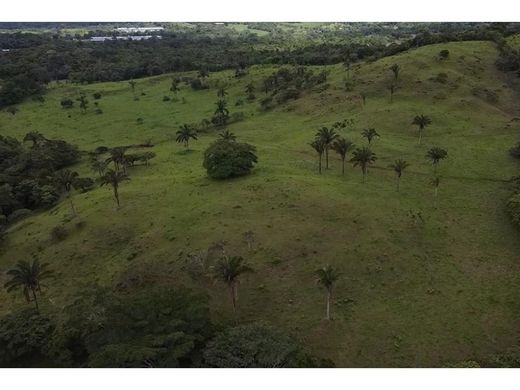 Quinta rústica - La Chorrera, Distrito de La Chorrera