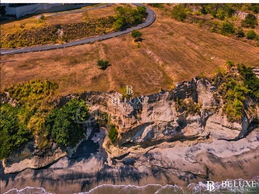 Terrain à San Carlos, Distrito de San Carlos