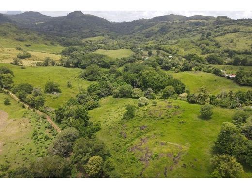 Quinta rústica - La Chorrera, Distrito de La Chorrera