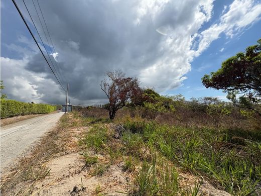 Land in San Carlos, Distrito de San Carlos