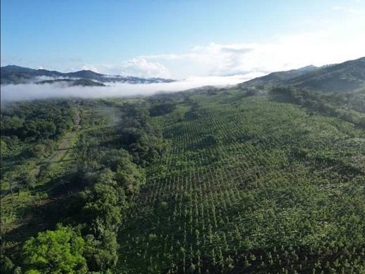 ‏קרקע ב  Colón, Distrito de Colón