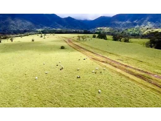 Terreno en Veraguas, Distrito de Santa Fé