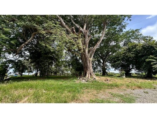 Terrain à David, Distrito de David