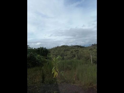 Farmhouse in La Chorrera, Distrito de La Chorrera