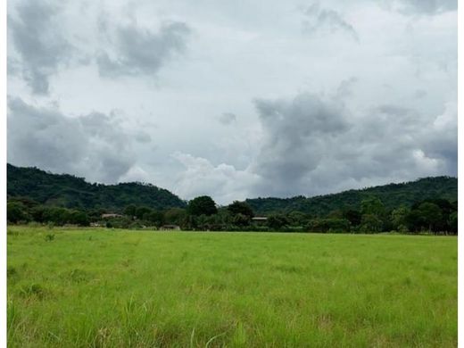 Αγροτεμάχιο σε David, Distrito de David