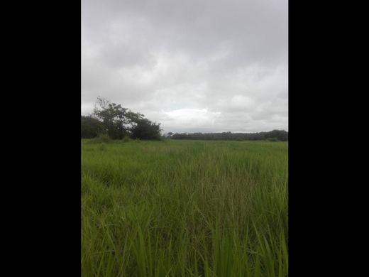 Terreno en La Palma, Distrito de Chepigana