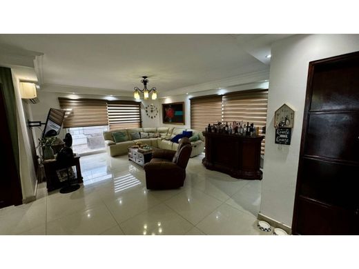 호화 저택 / San Francisco, Distrito de San Francisco