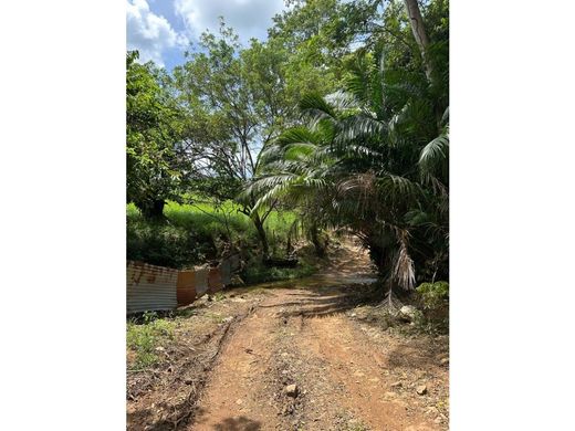 ﻣﻨﺰﻝ ﺭﻳﻔﻲ/ ﺑﻴﺖ ﻤﺰﺭﻋﺔ ﻓﻲ Capira, Distrito de Capira