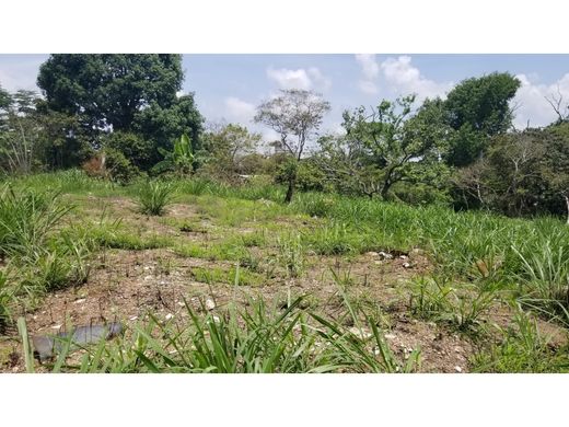 地皮  La Chorrera, Distrito de La Chorrera