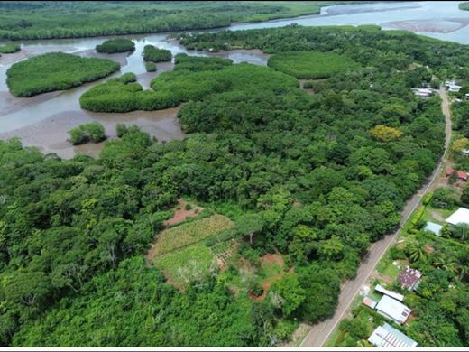 Αγροτεμάχιο σε Chiriquí, Distrito de David