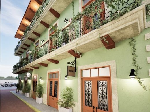 パナマシティ, Distrito de Panamáの土地