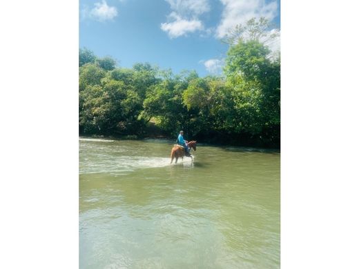 ‏בתים כפריים או חוות ב  Soná, Distrito de Soná