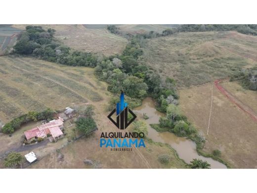 La Chorrera, Distrito de La Chorreraのカントリー風またはファームハウス