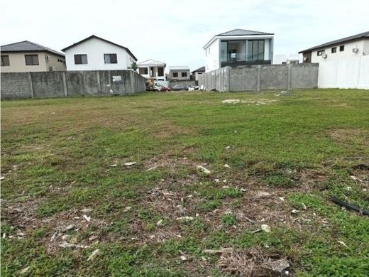 أرض ﻓﻲ بنما (مدينة), Distrito de Panamá