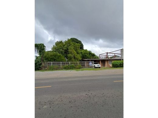 豪宅  David, Distrito de David