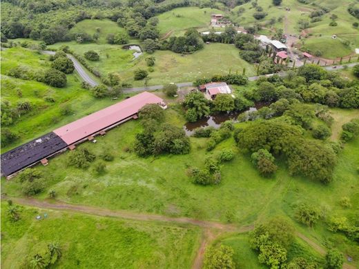 Farmhouse in Veraguas, Distrito de Santa Fé