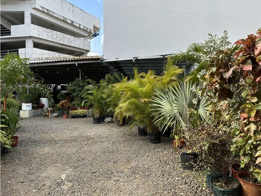 Terreno - Panamá, Distrito de Panamá