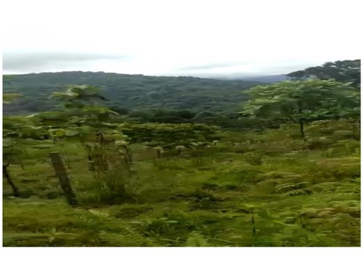 Αγροτεμάχιο σε Portobelo, Distrito de Portobelo