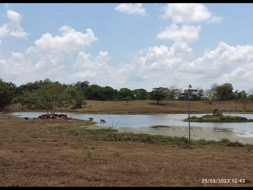 Quinta rústica - Capira, Distrito de Capira