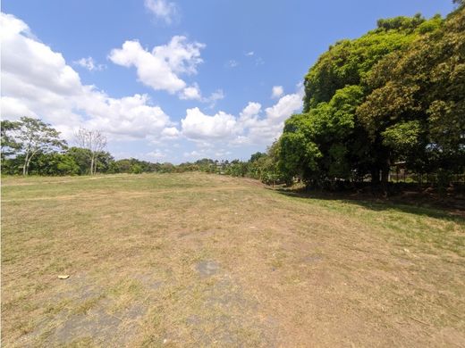 ‏קרקע ב  La Chorrera, Distrito de La Chorrera