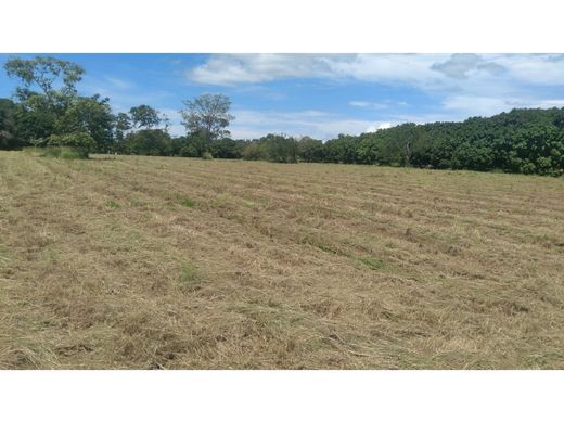 ‏קרקע ב  Chame, Distrito de Chame