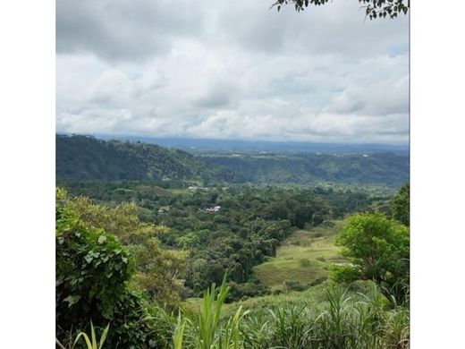 Farmhouse in Río Sereno, Distrito de Renacimiento