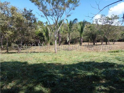 Grundstück in Penonomé, Distrito Penonomé