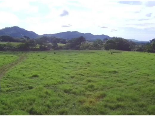 Rustik ya da çiftlik Las Lajas, Distrito de San Félix