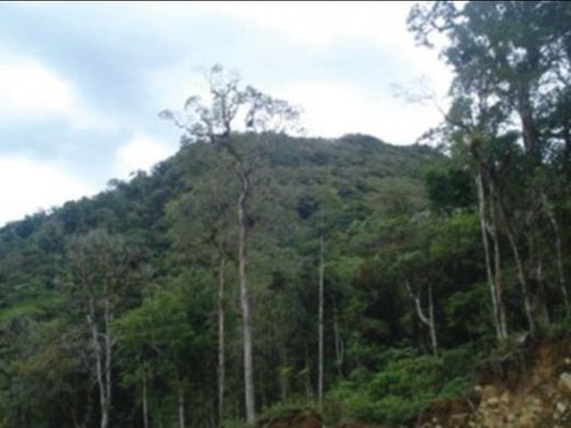 Terreno en Boquete, Distrito de Boquete