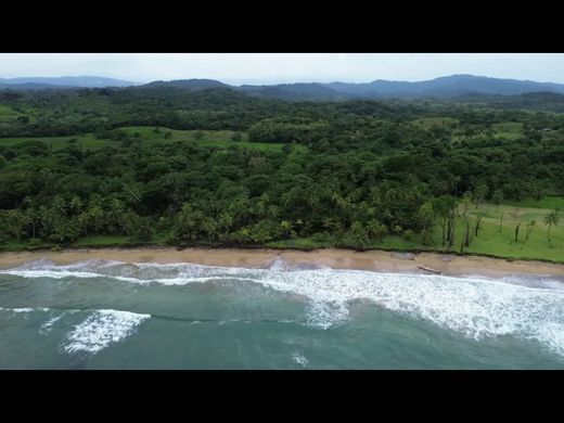 토지 / Palenque, Distrito de Colón