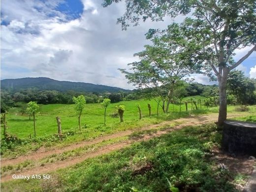 Farmhouse in Capira, Distrito de Capira