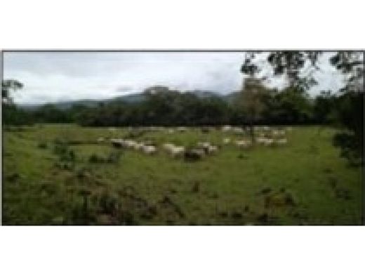 Ferme à Caldera, Distrito de Boquete