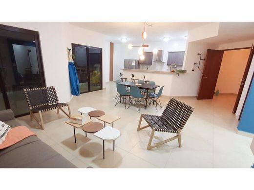 Apartment / Etagenwohnung in San Carlos, Distrito de San Carlos
