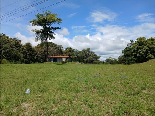 أرض ﻓﻲ San Carlos, Distrito de San Carlos