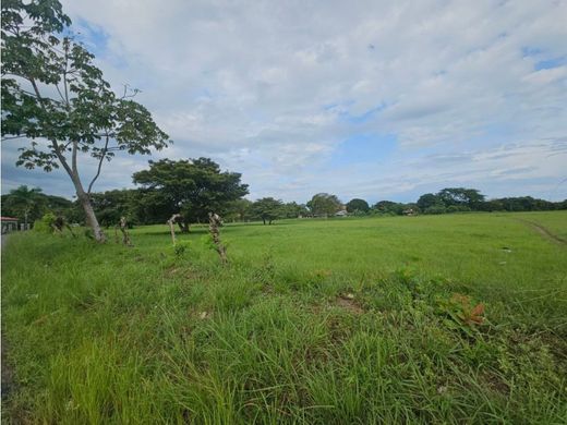 ‏בתים כפריים או חוות ב  Penonomé, Distrito Penonomé