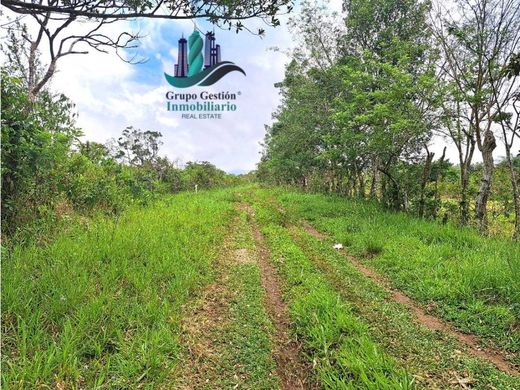 Сельский Дом, Dolega District, Distrito de Dolega