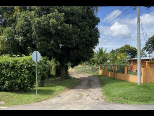 Сельский Дом, Las Guías Oriente, Distrito de Antón