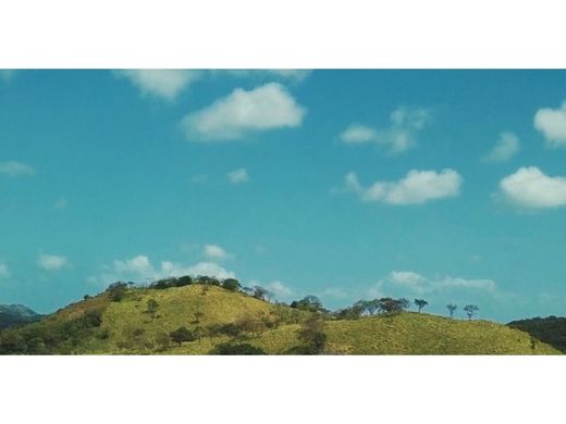 Grundstück in Penonomé, Distrito Penonomé