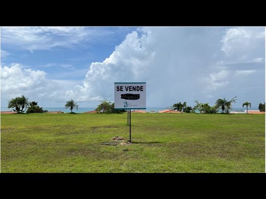 ‏קרקע ב  San Carlos, Distrito de San Carlos