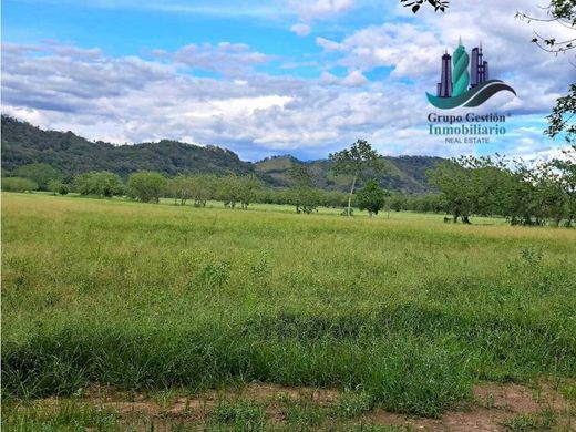 Quinta rústica - David, Distrito de David