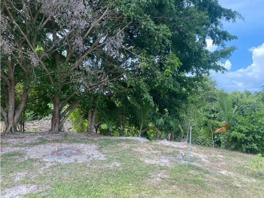 地皮  Las Guías Oriente, Distrito de Antón