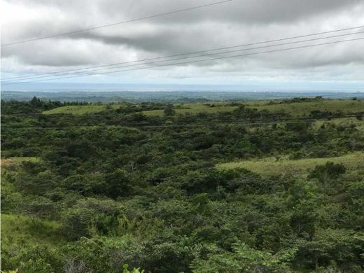 Terrain à Antón, Distrito de Antón